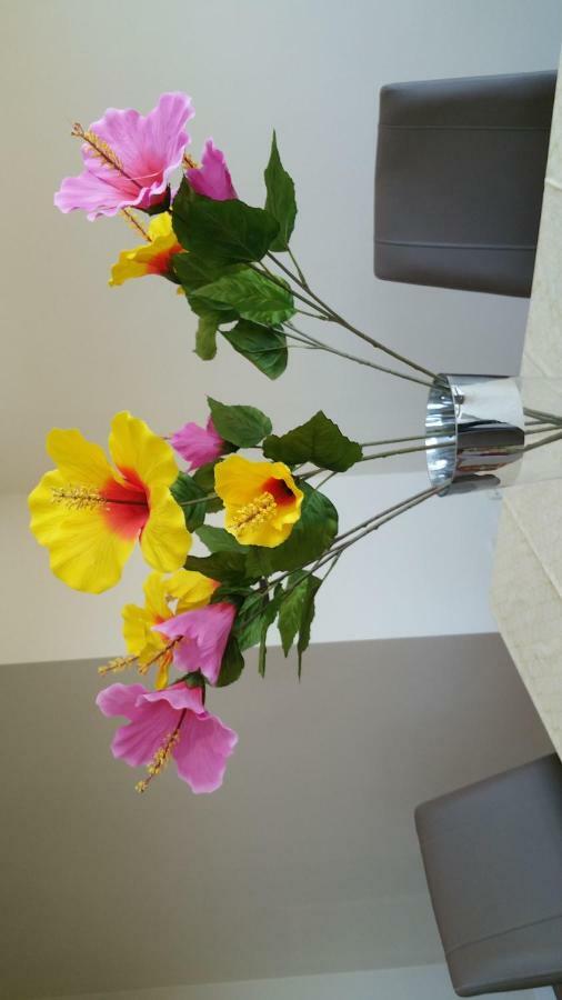 Apartamento Ideal Familias Y Grupos Comarca de Comarca de Vigo Buitenkant foto